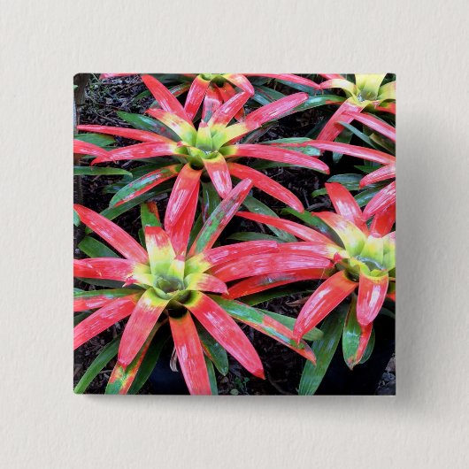 Hawaiian Flower Square Button (Voorkant)