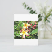 Hawaiian Flowers - prachtige gele bloesems Briefkaart (Staand voorkant)