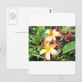 Hawaiian Flowers - prachtige gele bloesems Briefkaart (Voorkant / Achterkant)