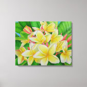 Hawaiian Frangipani Canvas Afdruk (Voorkant)
