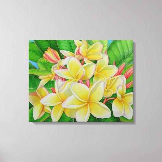 Hawaiian Frangipani Canvas Afdruk (Voorkant)