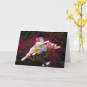 Hawaiian Frangipani Kaart (Gele Bloem)