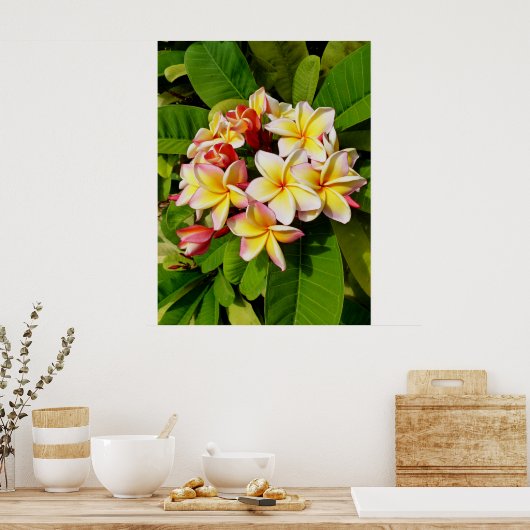 Hawaiian Frangipani Poster (Keuken)