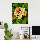 Hawaiian Frangipani Poster (Thuiskantoor)