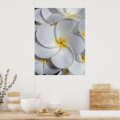Hawaiian Frangipani Poster (Keuken)