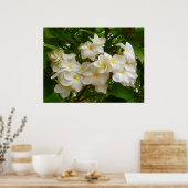 Hawaiian Frangipani Poster (Keuken)
