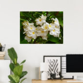 Hawaiian Frangipani Poster (Thuiskantoor)