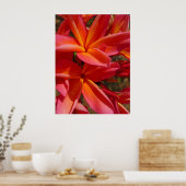 Hawaiian Frangipani Poster (Keuken)