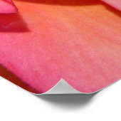 Hawaiian Frangipani Poster (Hoek)