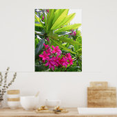 Hawaiian Frangipani Poster (Keuken)