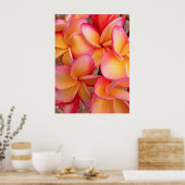 Hawaiian Frangipani Poster (Keuken)