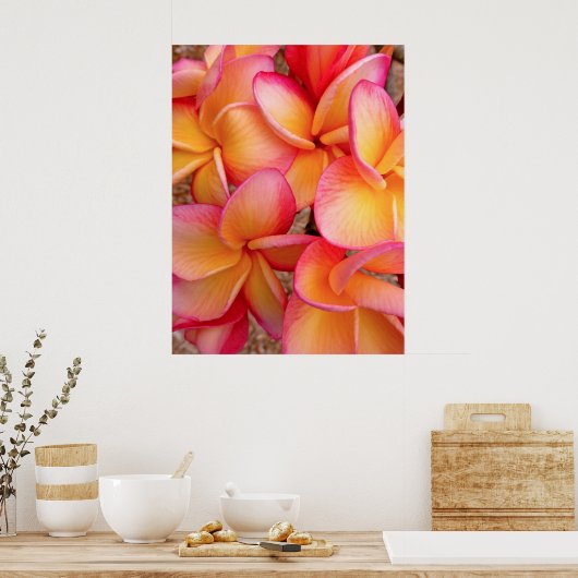 Hawaiian Frangipani Poster (Keuken)