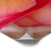 Hawaiian Frangipani Poster (Hoek)