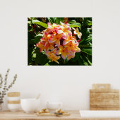 Hawaiian Frangipani Poster (Keuken)