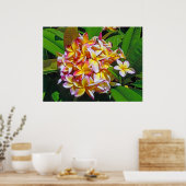 Hawaiian Frangipani Poster (Keuken)