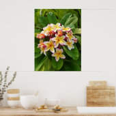 Hawaiian Frangipani Poster (Keuken)