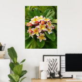 Hawaiian Frangipani Poster (Thuiskantoor)