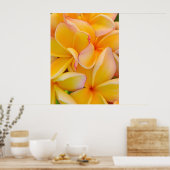 Hawaiian Frangipani Poster (Keuken)