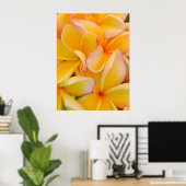 Hawaiian Frangipani Poster (Thuiskantoor)