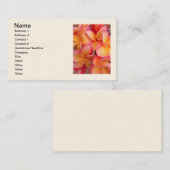 Hawaiian Frangipani Visitekaartje (Voorkant / Achterkant)