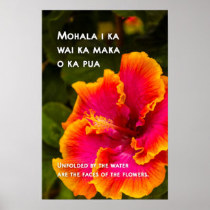 Hawaiian Fuchsia and Oranje Hibiscus Motivatie Poster