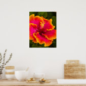Hawaiian Fuchsia and Oranje Hibiscus Poster (Keuken)
