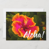 Hawaiian Fuchsia en Oranje Hibiscus uit Kauai Kaart (Voorkant)