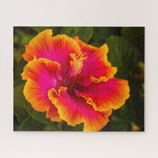 Hawaiian Fuchsia en Oranje Hibiscus uit Kauai Legpuzzel (Horizontaal)