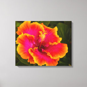 Hawaiian Fuchsia Hibiscus uit Kauai Photography Canvas Afdruk