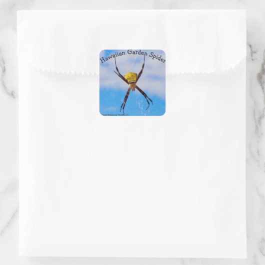 Hawaiian Garden Spider Vierkante Sticker (Tas)