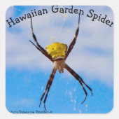 Hawaiian Garden Spider Vierkante Sticker (Voorkant)