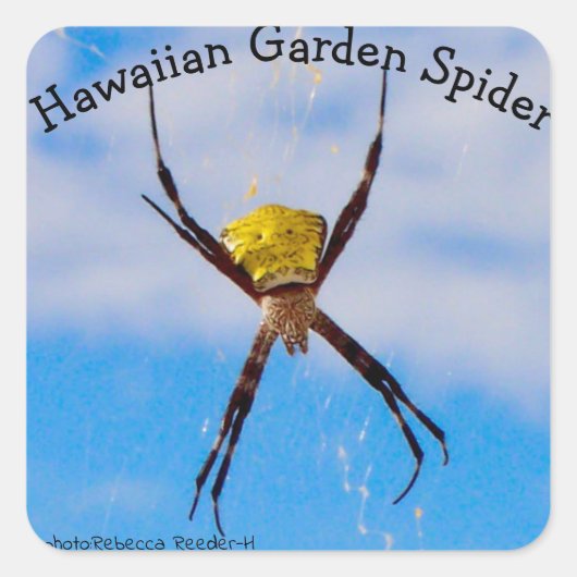 Hawaiian Garden Spider Vierkante Sticker (Voorkant)