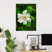 Hawaiian Gardenia Poster (Thuiskantoor)
