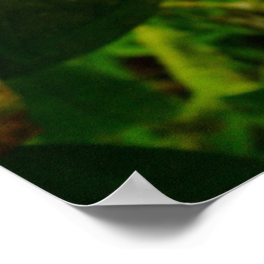 Hawaiian Gardenia Poster (Hoek)