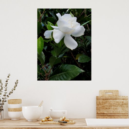 Hawaiian Gardenia Poster (Keuken)