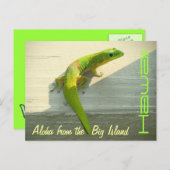 Hawaiian gecko briefkaart groet (Voorkant / Achterkant)