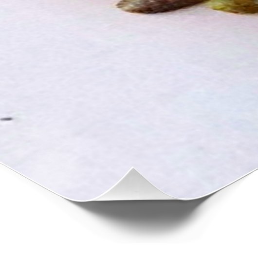 Hawaiian Gecko Perfect Poster (Hoek)