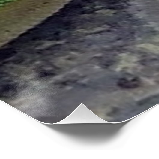 Hawaiian Gecko Perfect Poster (Hoek)