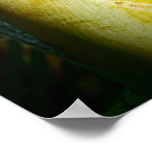 Hawaiian gecko tropical poster (Hoek)