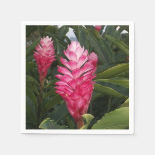 Hawaiian Ginger Napkins Servet (Voorkant)