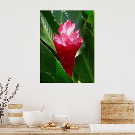 Hawaiian Ginger Poster (Keuken)