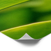 Hawaiian Ginger Poster (Hoek)