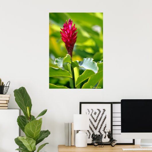 Hawaiian Ginger Poster (Thuiskantoor)