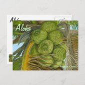 Hawaiian Green Coconut Briefkaart (Voorkant / Achterkant)