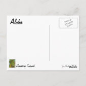 Hawaiian Green Coconut Briefkaart (Achterkant)
