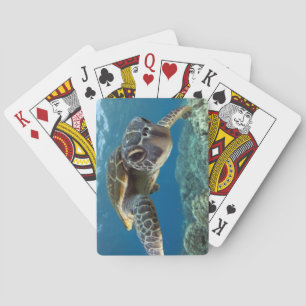 Hawaiian Green Sea Turtle Pokerkaarten