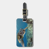 Hawaiian Green Zee Turtle Bagagelabel (Voorkant verticaal)