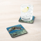 Hawaiian Green Zee Turtle Bier Onderzetter (Rechterzijde)