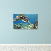 Hawaiian Green Zee Turtle Canvas Afdruk (Insitu (Houten vloer))