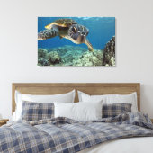 Hawaiian Green Zee Turtle Canvas Afdruk (Insitu (Slaapkamer))